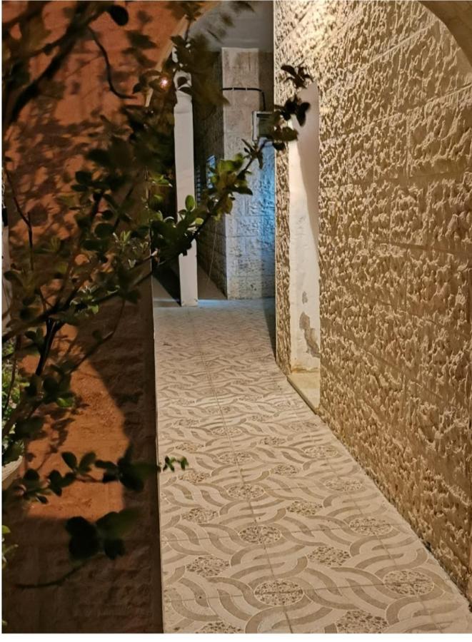 Orchid Apartment Ваді-Муса Екстер'єр фото
